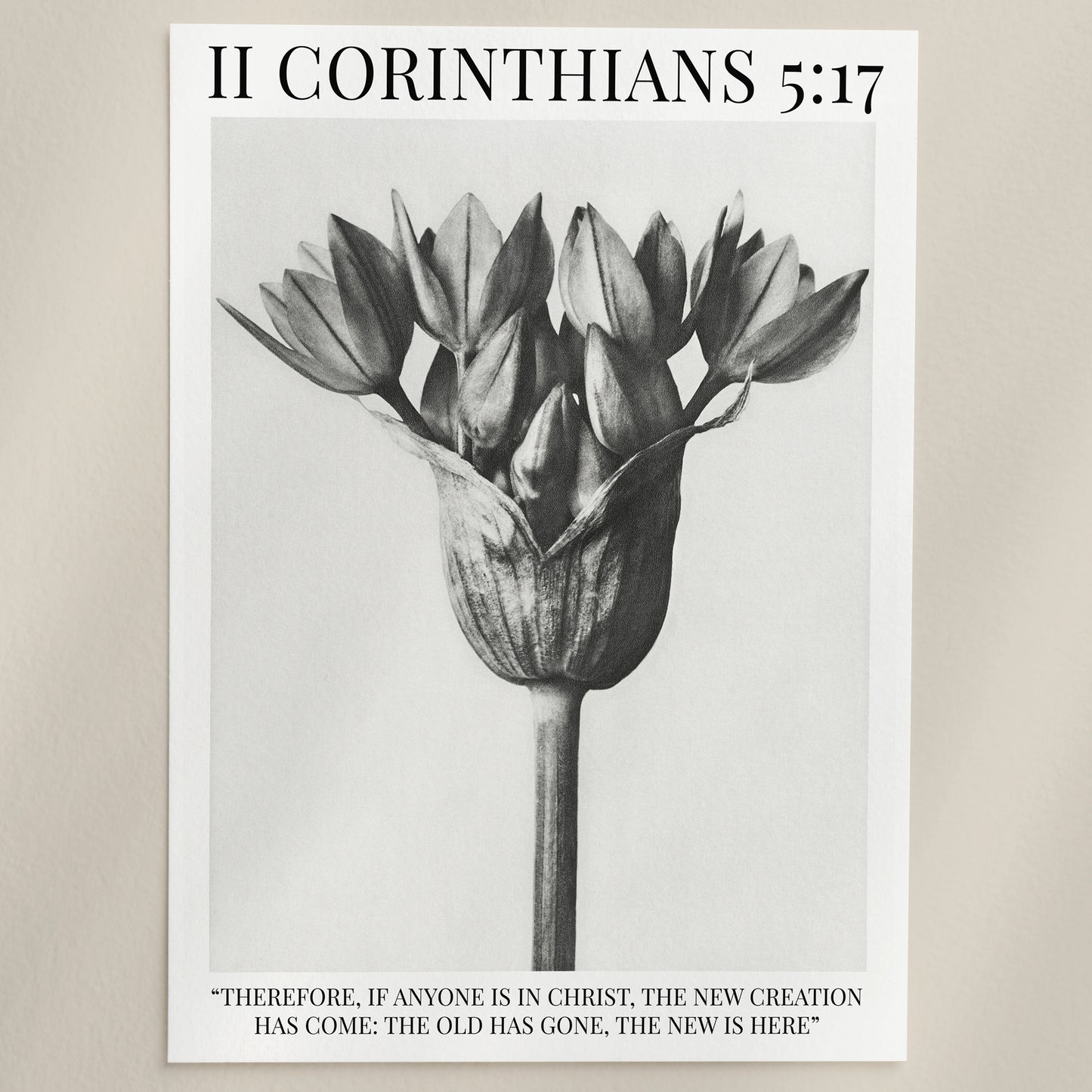 Corinthians Christian Wall Art
