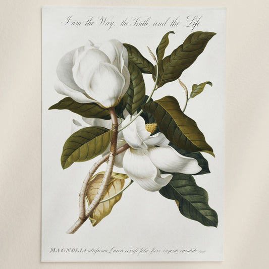 Vintage Magnolia Lithograph John 14:6 Christian Art Print